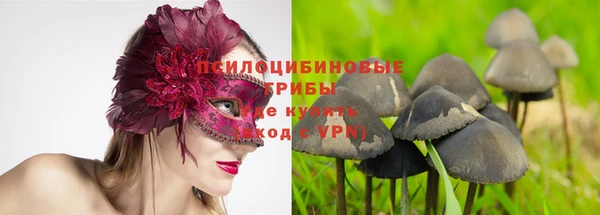 хмурый Алексеевка