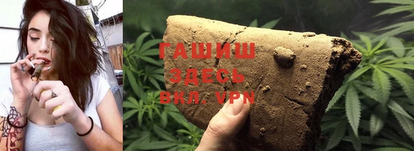 стафф Россошь