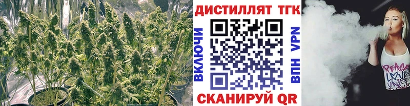 ТГК жижа  дарнет шоп  Дмитровск 