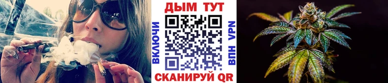 Конопля гибрид Дмитровск